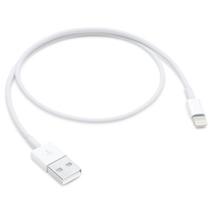 Apple Lightning to USB Cable (0.5m)