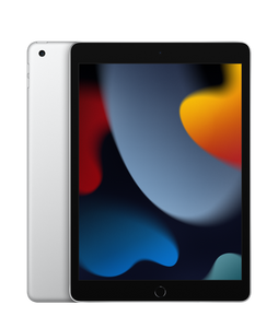 iPad 10.2-inch (9th Generation) WiFi + Cellular 256GB Silver - October 2021