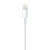 Apple Lightning to USB Cable (2m)