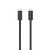 Apple Thunderbolt 4 Pro Cable (1.8 m)