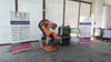 ABB IRB6650-200/2.75 FOUNDRY