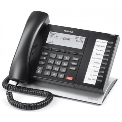 アンプ TOSHIBA TY-WSP55(C) TY-WSP55：ワイヤレススピーカー：東芝エルイートレーディング株式会社