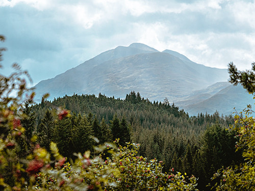 Spotlight On: Speyside