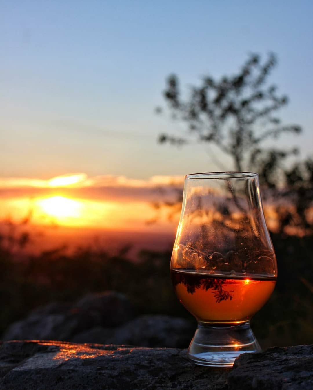 Is Whiskey Gluten Free?