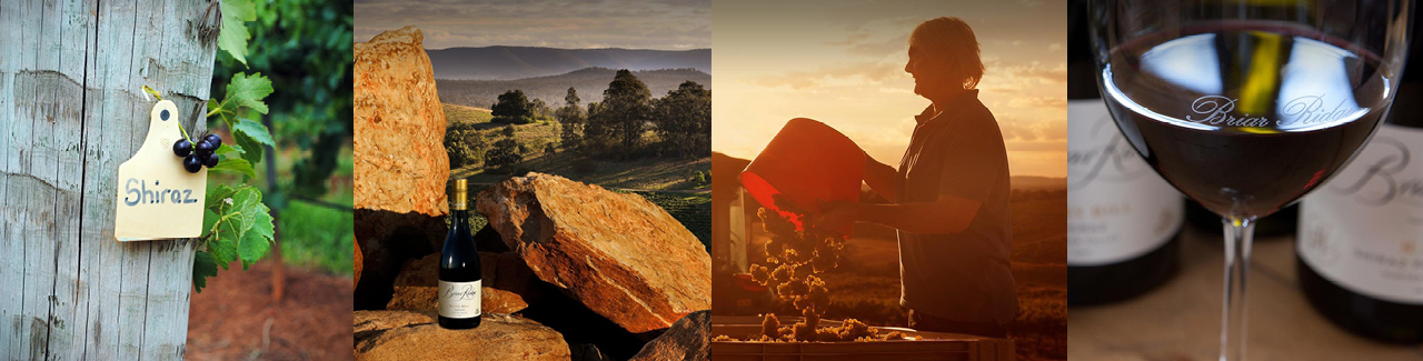 brand-page-banner-image-briar-ridge-1280-1.jpg brand-page-banner-image-briar-ridge-1280-1.jpg