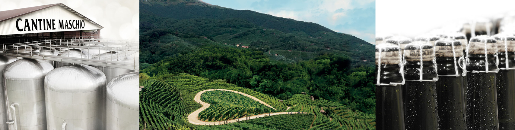 brand-page-banner-image-maschio-1.jpg brand-page-banner-image-maschio-1.jpg