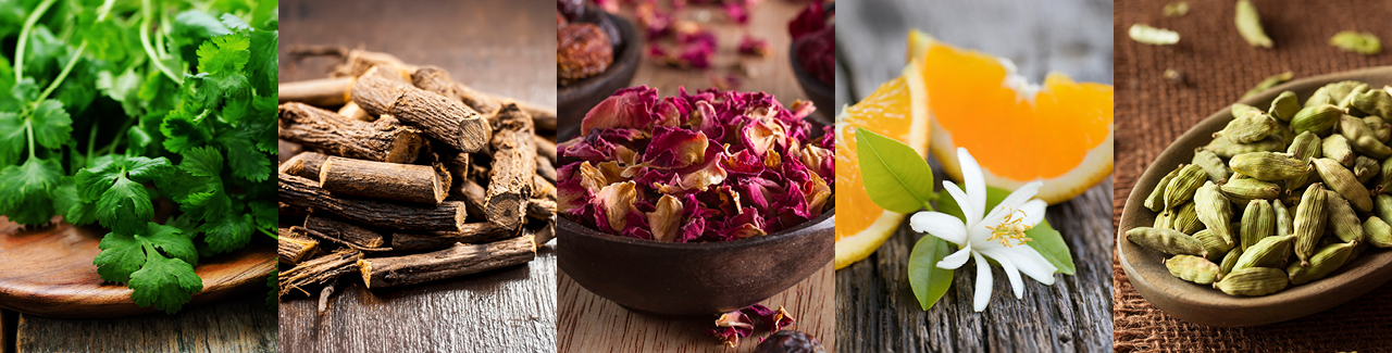 brand-page-banner-image-tanns-1280-v2.1.jpg brand-page-banner-image-tanns-1280-v2.1.jpg