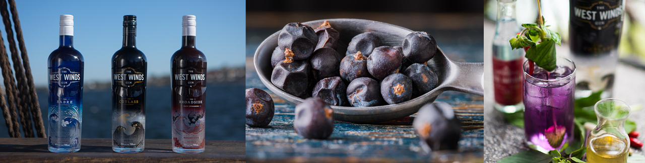 brand-page-banner-image-west-winds-gin-1280-2.jpg