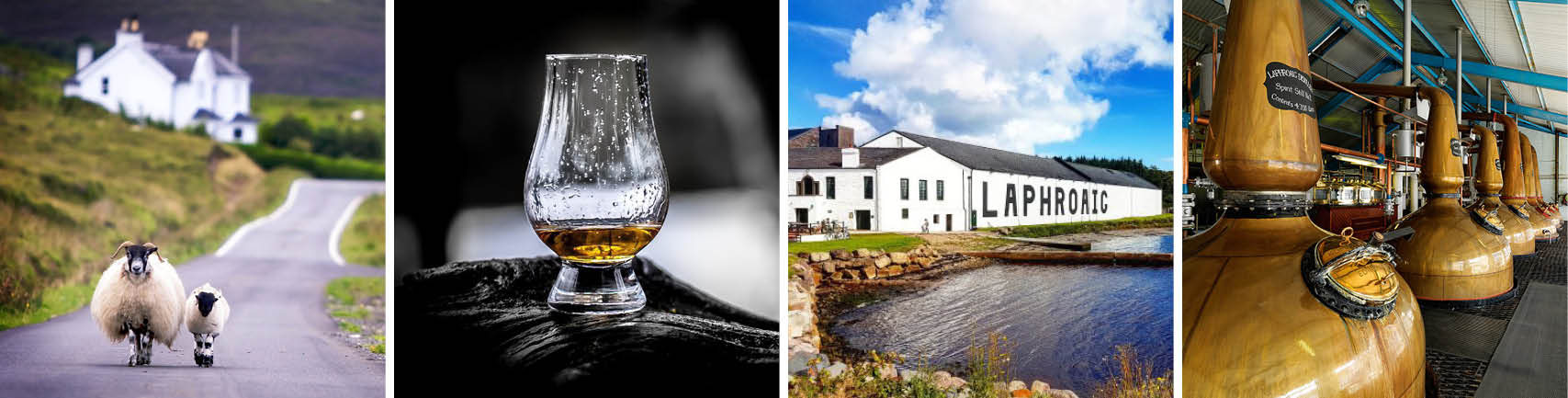 laphroaig-ib3-v2.jpg laphroaig-ib3-v2.jpg