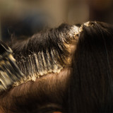 Colour Express Retouch & Cut Package