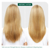 Biolage Strength Recovery Shampoo