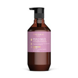 Theorie Marula and Argan Oil Conditioner