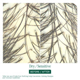 Biolage Scalp Sync For Dry/Sensitive Scalp Trio Bundle