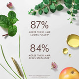 Moroccanoil Scalp Tonic