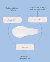 ROH Reset Scalp Wash