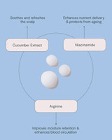 ROH Scalp Renew Serum