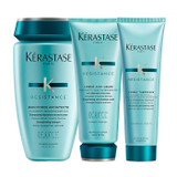 Kérastase Resistance Force Architecte Damaged Hair Trio Bundle