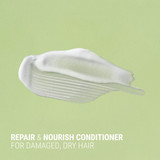 Antipodes Fig + Feijoa Repair & Nourish Conditioner