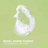 Antipodes Fig + Feijoa Repair & Nourish Shampoo