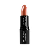 Antipodes Queenstown Hot Chocolate Lipstick