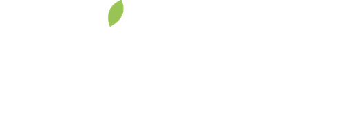 Vivo Hair Salon Birkenhead