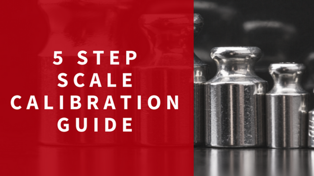 5 Step Scale Calibration Guide Scales Plus