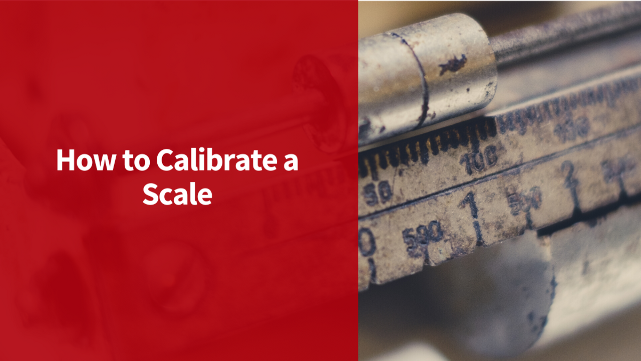 How to Calibrate a Scale Scales Outlet