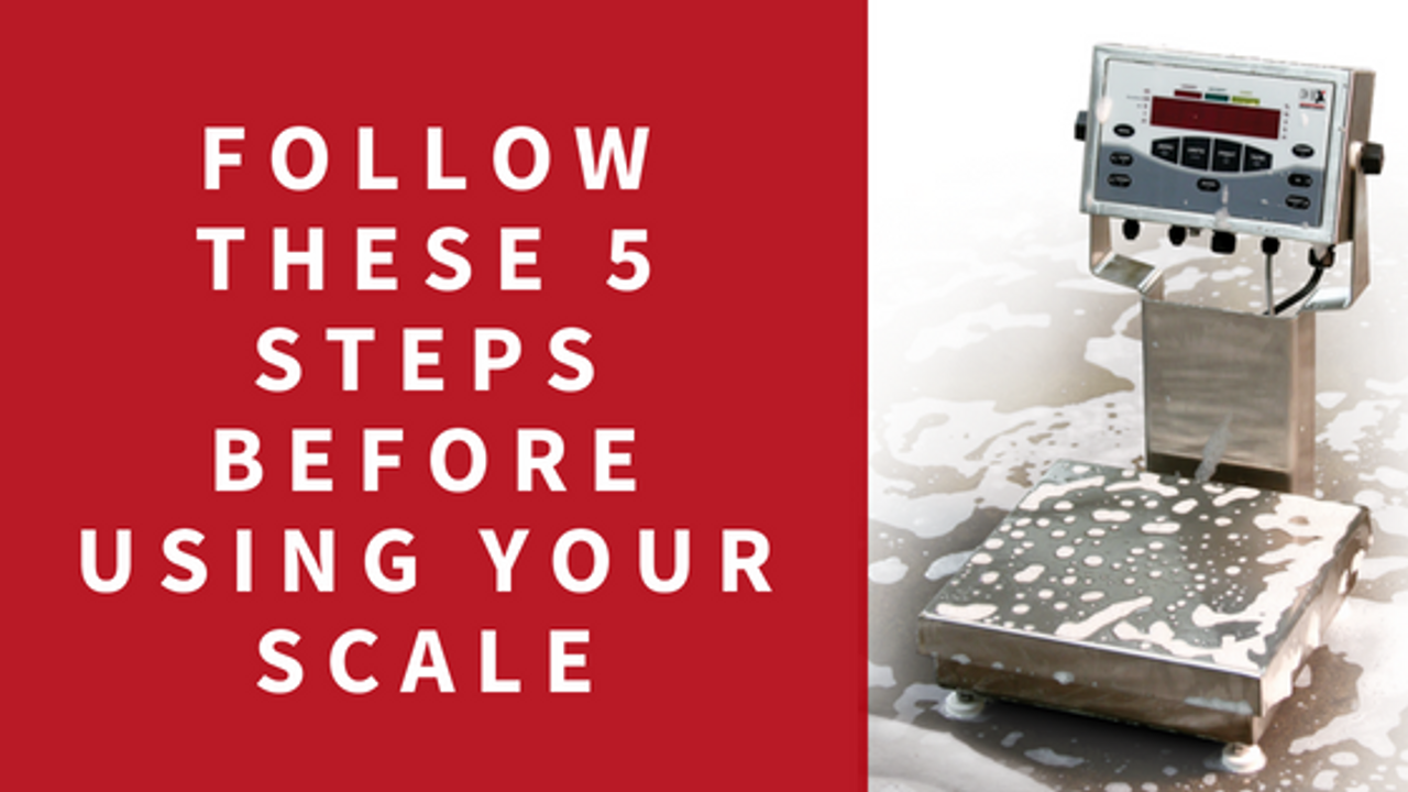 Follow These 5 Steps Before Using Your Scale Every Time Scales Plus