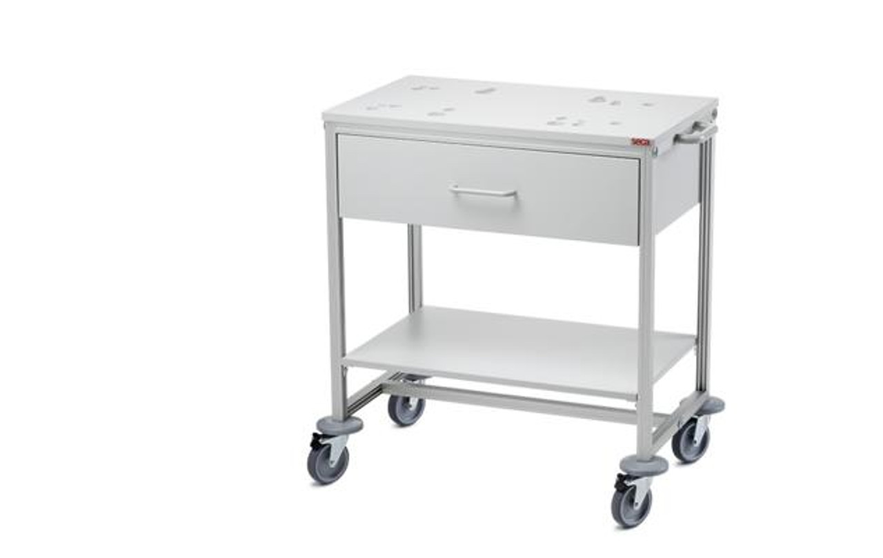 https://cdn11.bigcommerce.com/s-errhy7umuu/images/stencil/1280x1280/products/11163/29955/seca-403-cart-with-drawer-for-mobile-support-of-seca-baby-scales__83706.1649966296.jpg?c=2