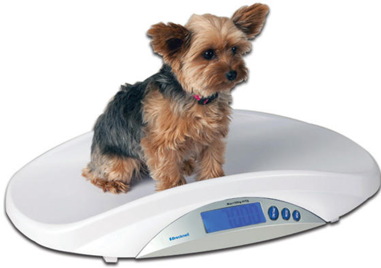 Small Puppy Measure Scale Weight