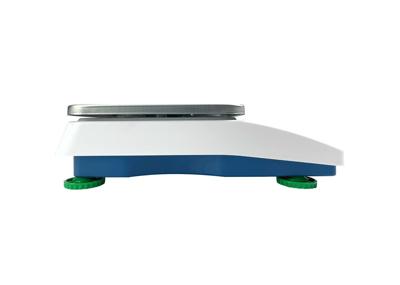 Tree SCT 33 Counting Scale | Scales Plus