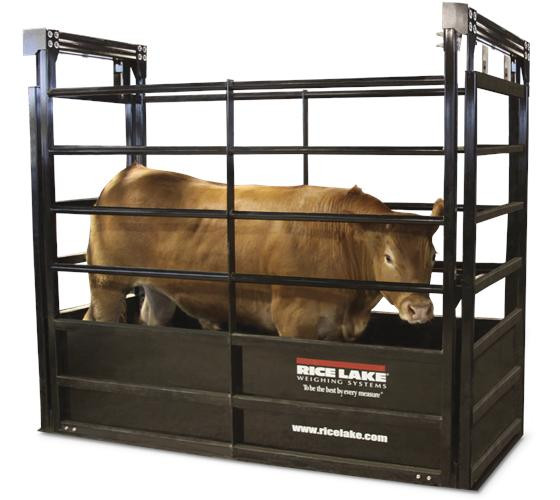 livestock weighing scale application for load cell junction box