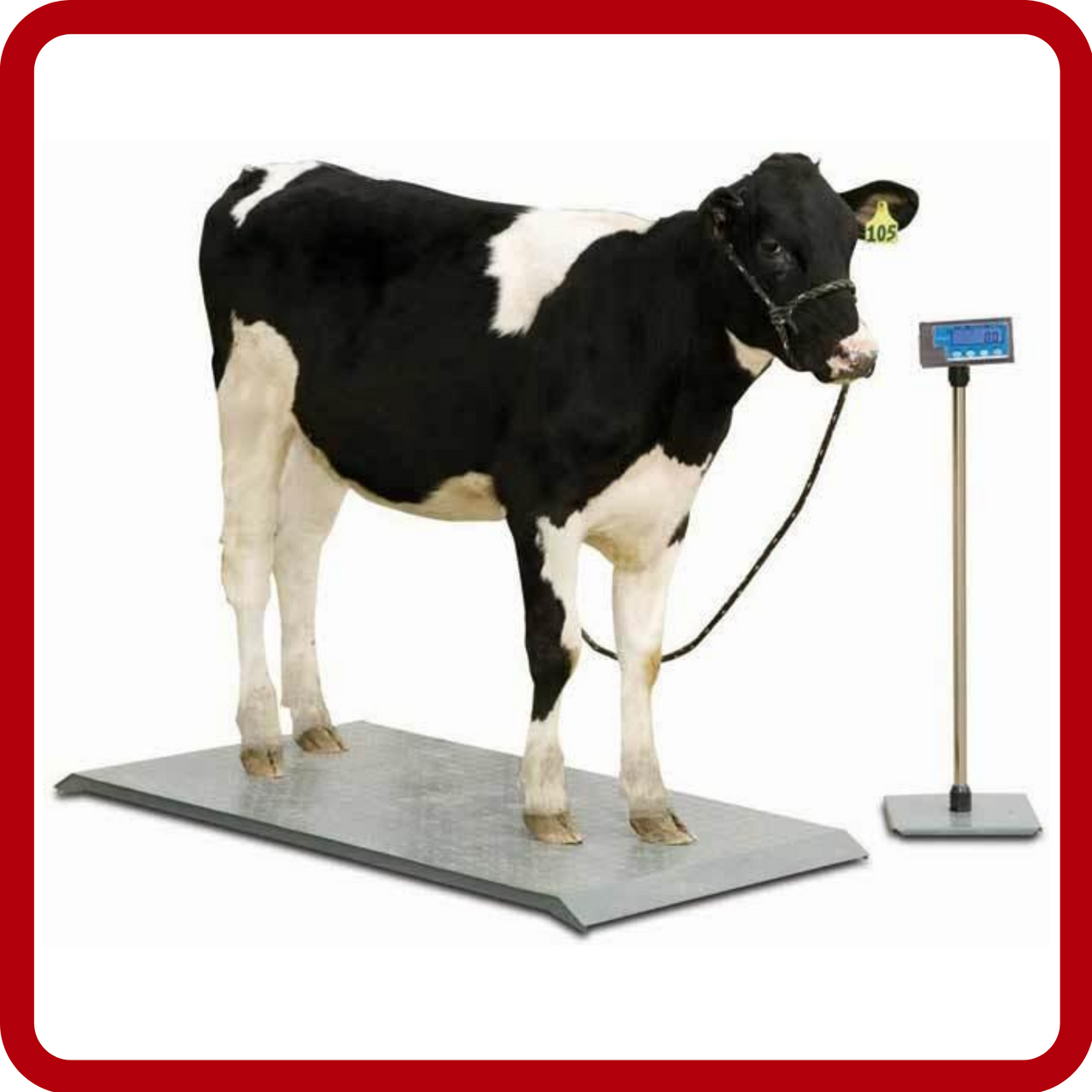 Brecknell PS Series Veterinarian Brecknell PS Series Veterinarian