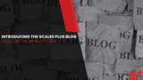  Introducing the Scales Plus Blog - You'll like the Weigh It Looks