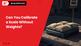 Can You Calibrate a Scale Without Weights?