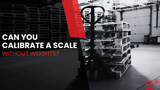 Can You Calibrate a Scale Without Weights?