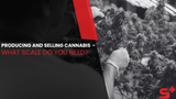 Producing and Selling Cannabis  - What Scale Do You Need?