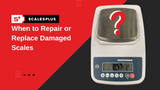 When to Repair or Replace Damaged Scales