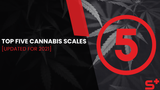 Top 5 Cannabis Scales [Updated for 2021]