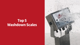 Top 5 Washdown Scales