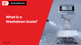 What is a Washdown Scale?