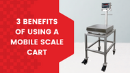 3 Benefits of Using a Mobile Scale Cart