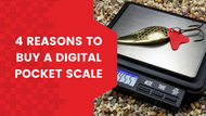 4 Reasons to Buy a Digital Pocket Scale