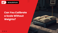 Can You Calibrate a Scale Without Weights?