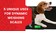 5 Unique Uses for Dynamic Weighing Scales