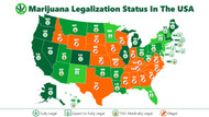 Cannabis Legality and Regulations by State