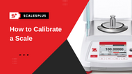 How to Calibrate a Scale