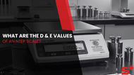 What Are the D and E Values of an NTEP Scale?