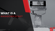 What is a Washdown Scale?