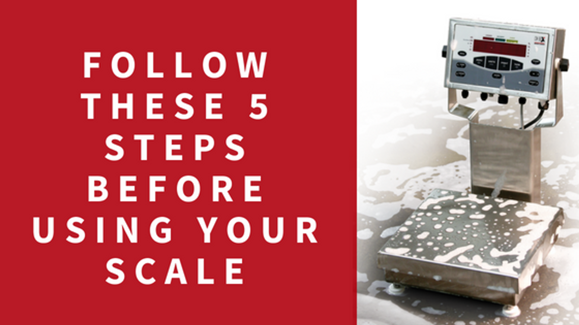 Follow These 5 Steps Before Using Your Scale Every Time Scales Plus